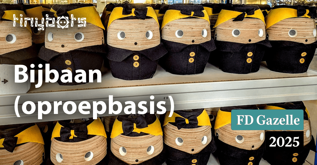 Bijbaan (oproepbasis)